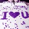 2000 PCS Artificial Silk Purple Rose Petals for Wedding Party Favors Decoration and Vase Home Decor Wedding Bridal Decoration. Purple